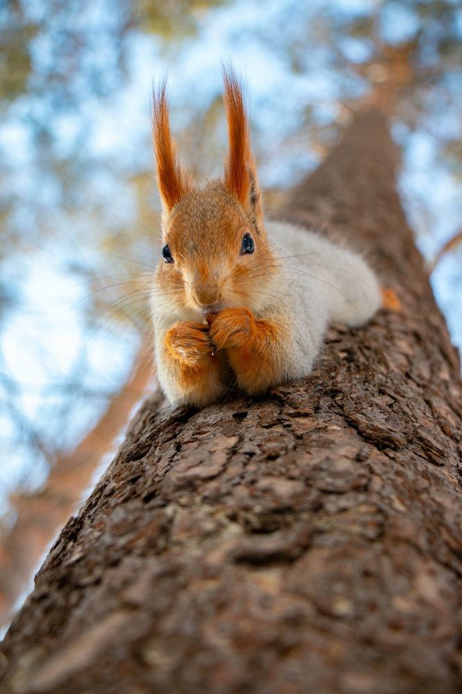 Photograph by Татьяна Ярмак