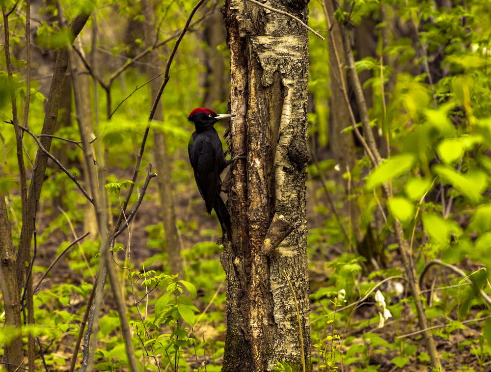 Photograph by Анастасия Малахова
