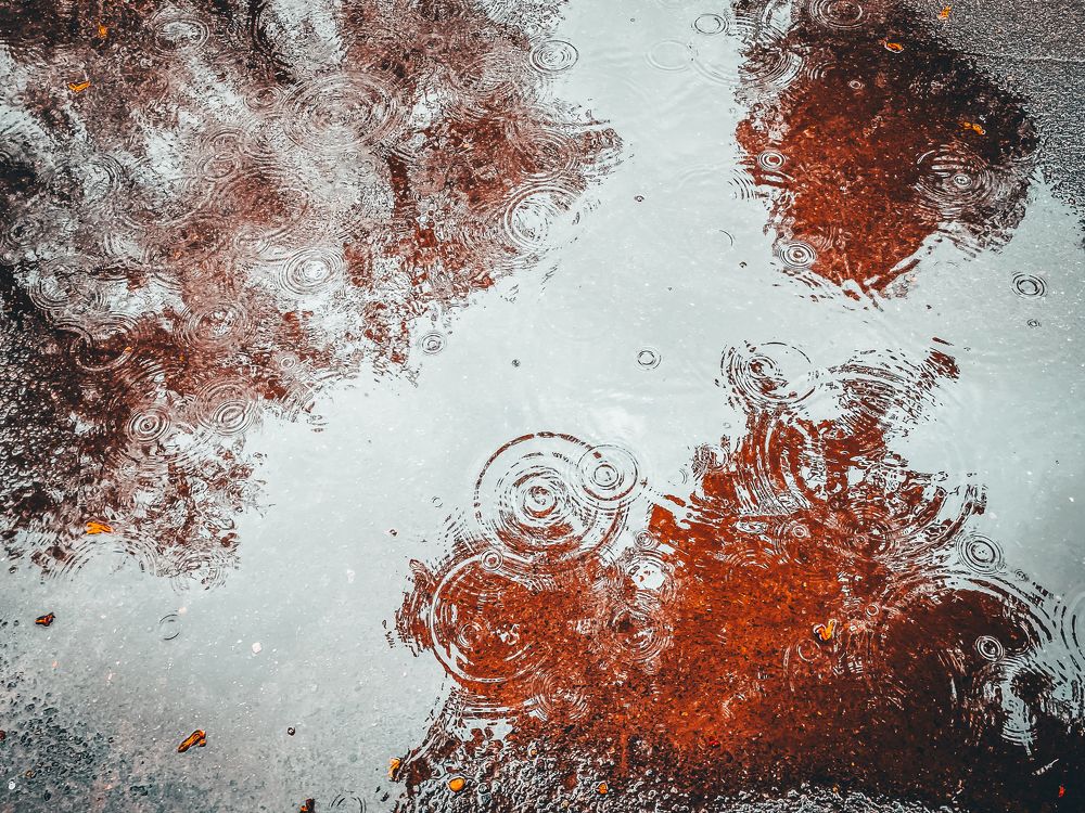 Photograph by Владимир Гвозд