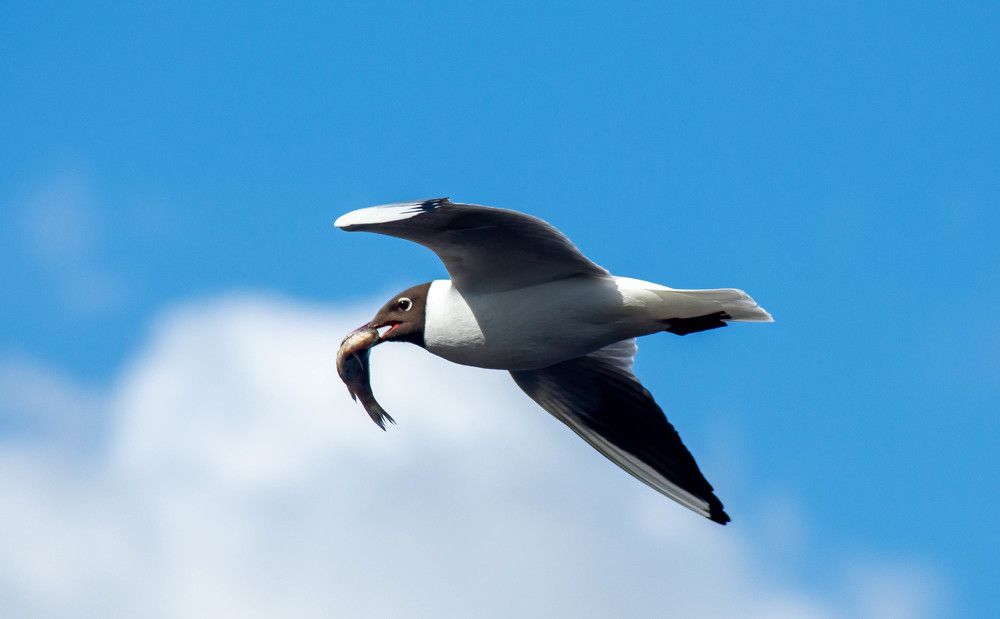 Фотография автора Aлексей Игнатьев