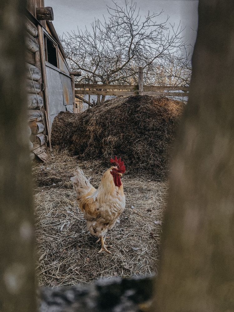 Photograph by Катя