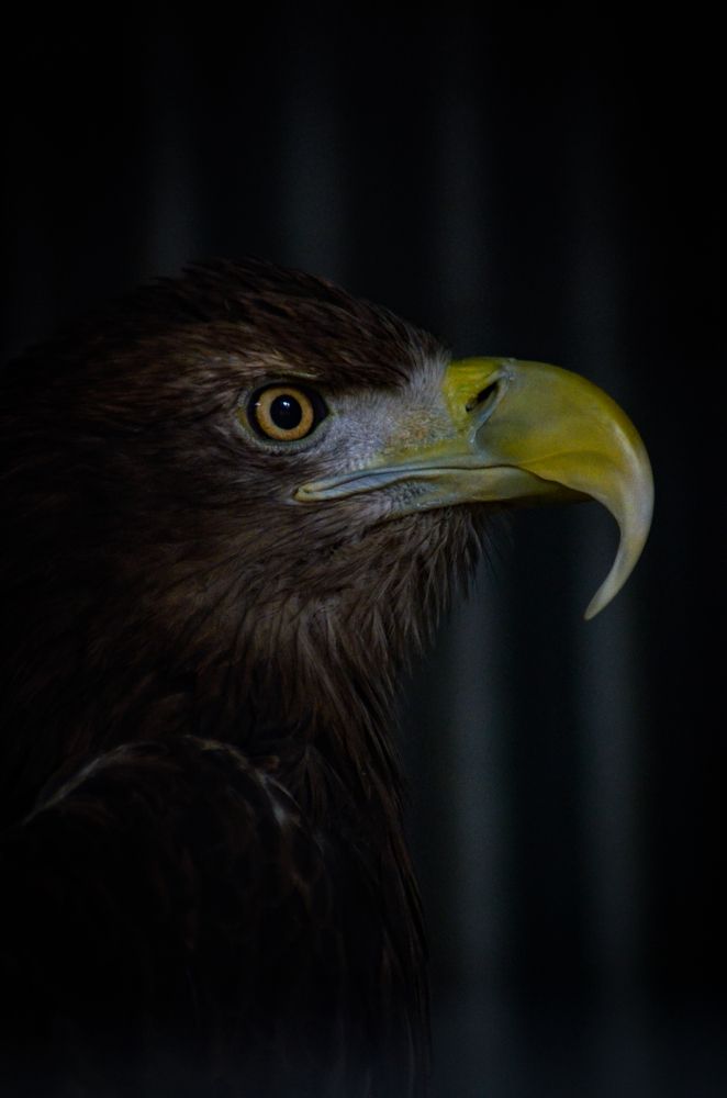 Photograph by Глухарев Сергей