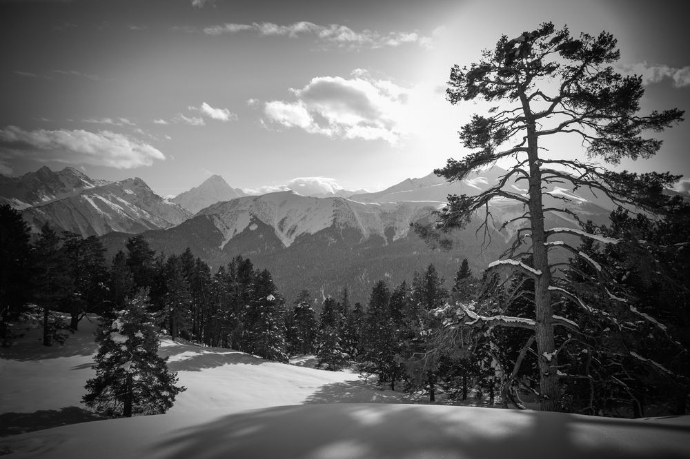 Photograph by Владимир Кривенко