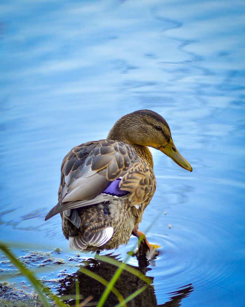 Photograph by Глухарев Сергей