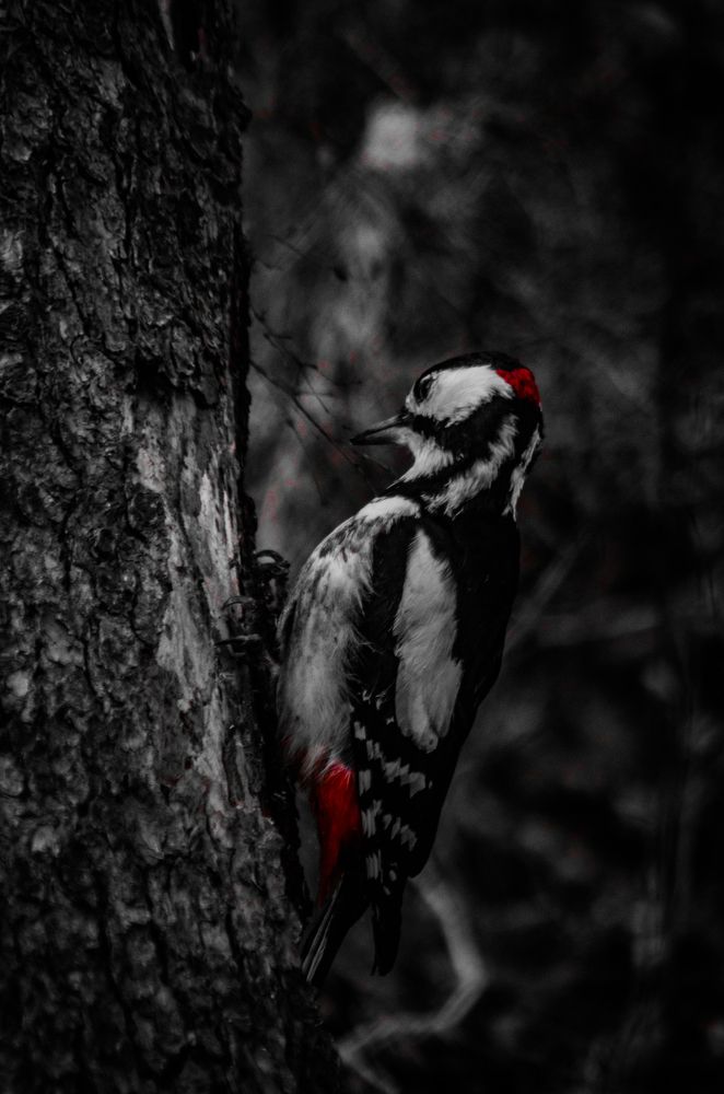 Photograph by Глухарев Сергей