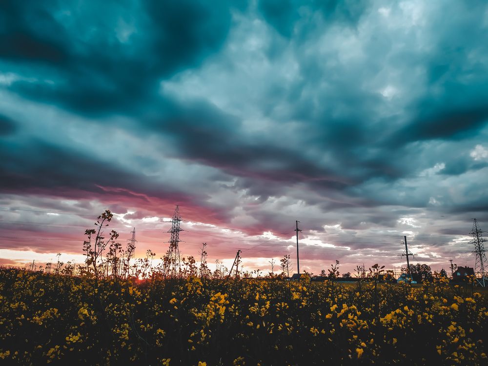 Photograph by Александр Гизун