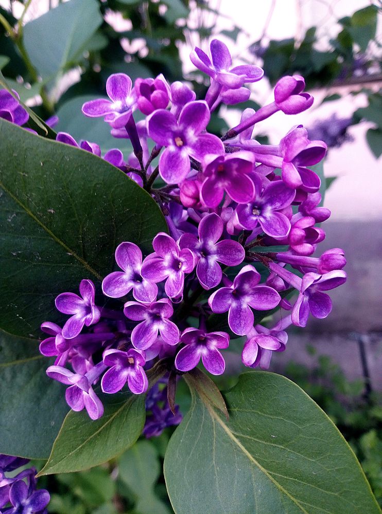 Photograph by Карина Полякова