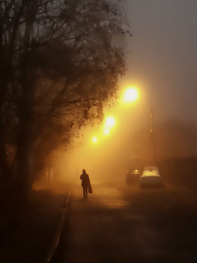 Photograph by Eлена Смирнова