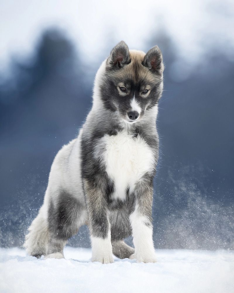 Photograph by Светлана Писарева