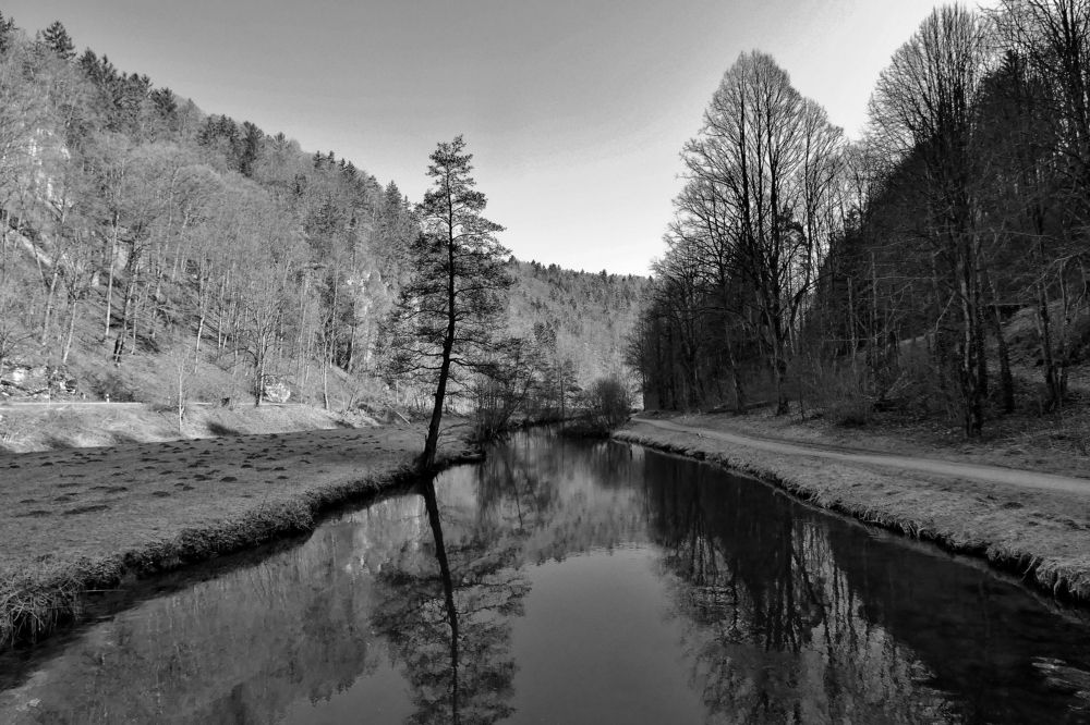 Photograph by backareva irina