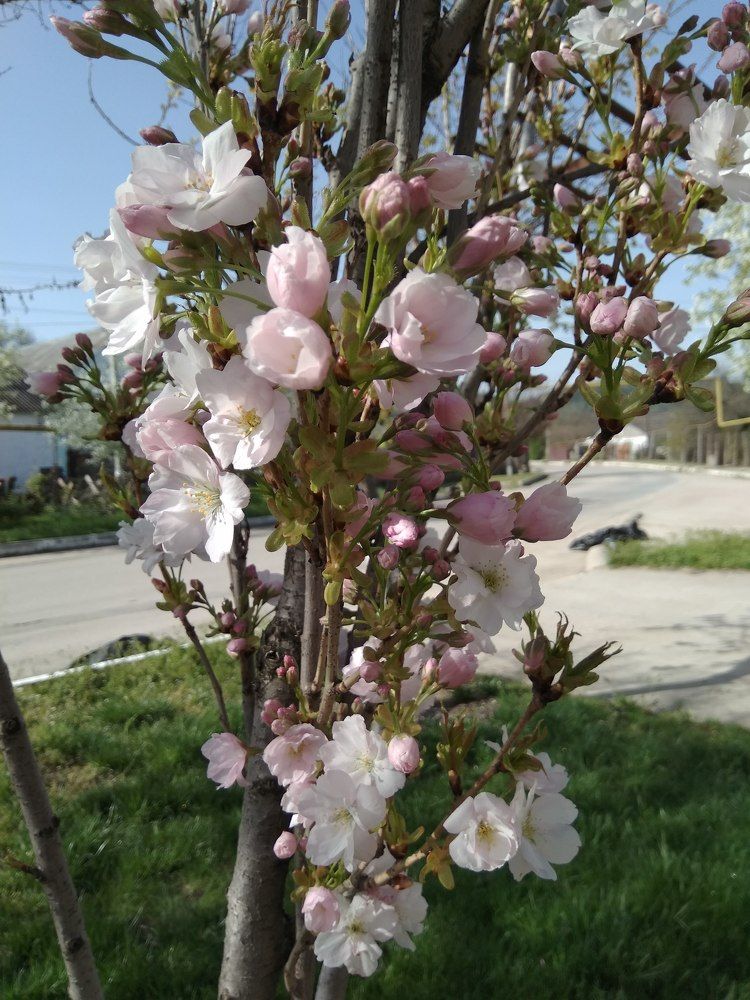 Photograph by Татьяна Ситникова