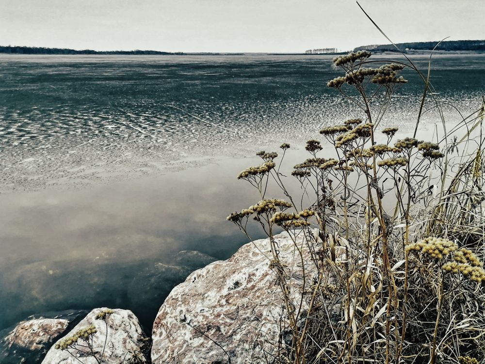 Photograph by Наталья Веряскина