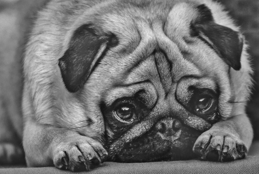 Photograph by backareva irina