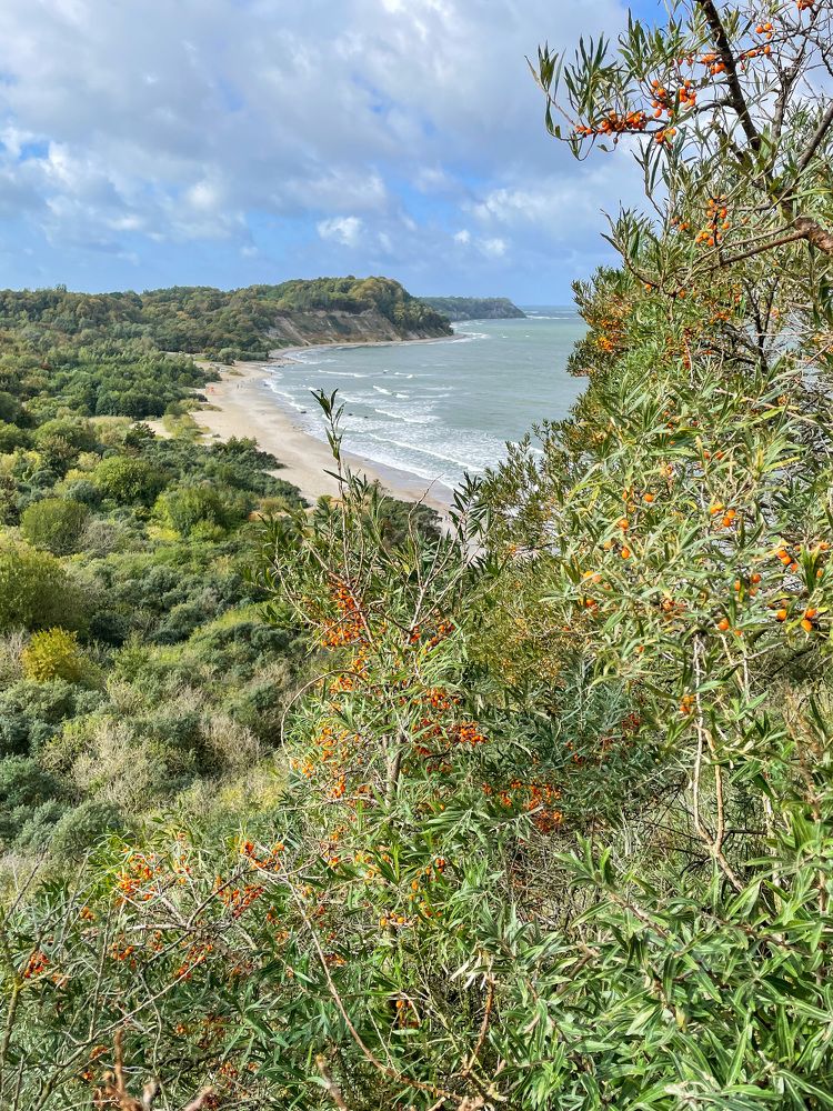 Photograph by Юлия Коншина