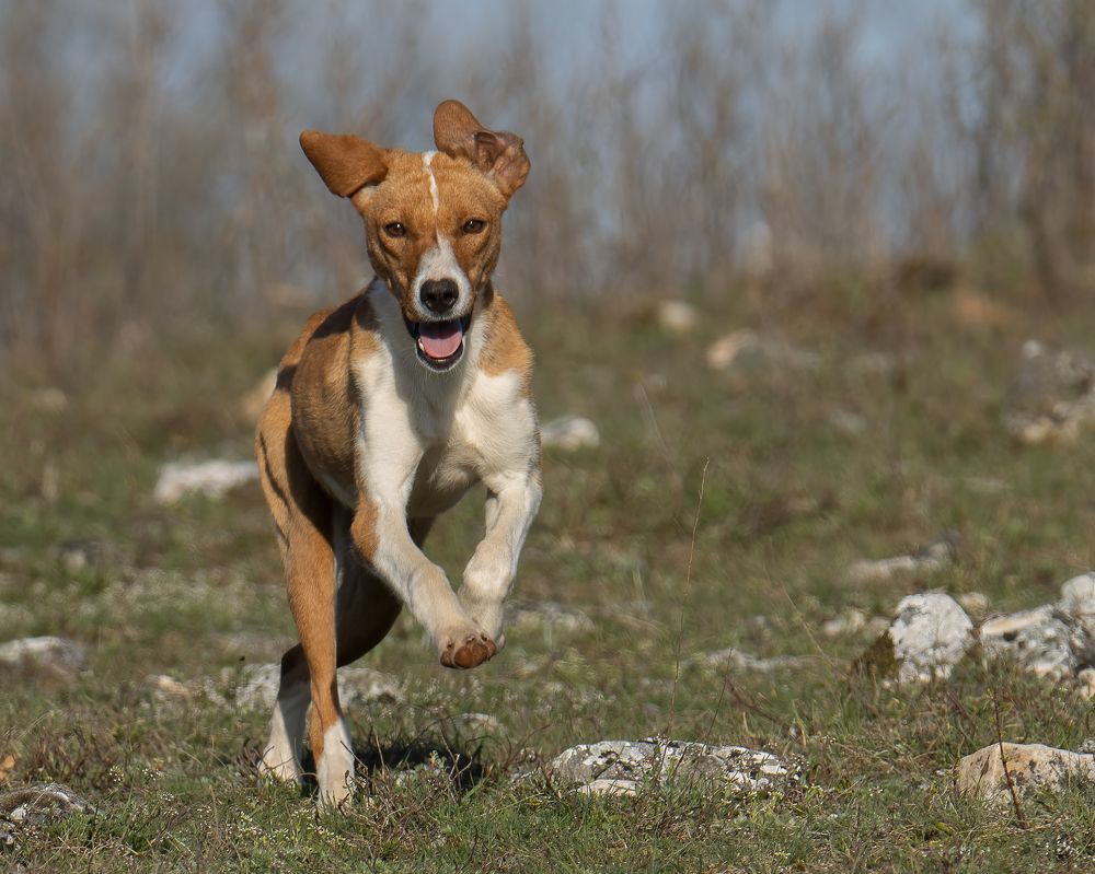 Photograph by Sajkovski Dejan