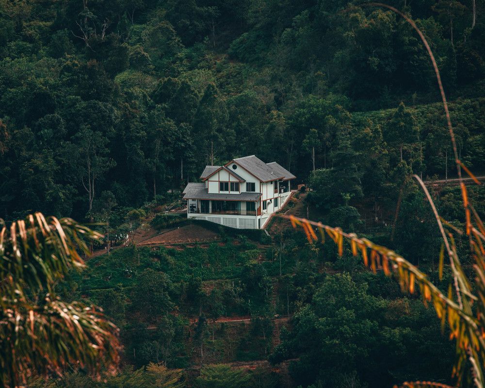 Photograph by Syed Zohair