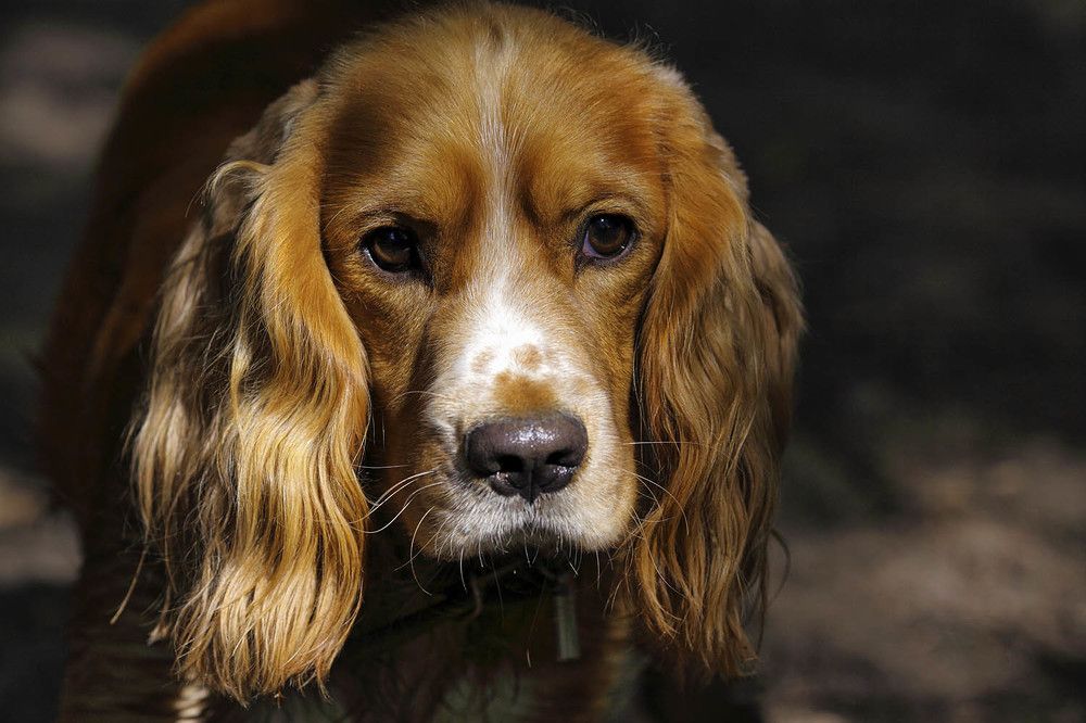 Photograph by Михаил Баевский