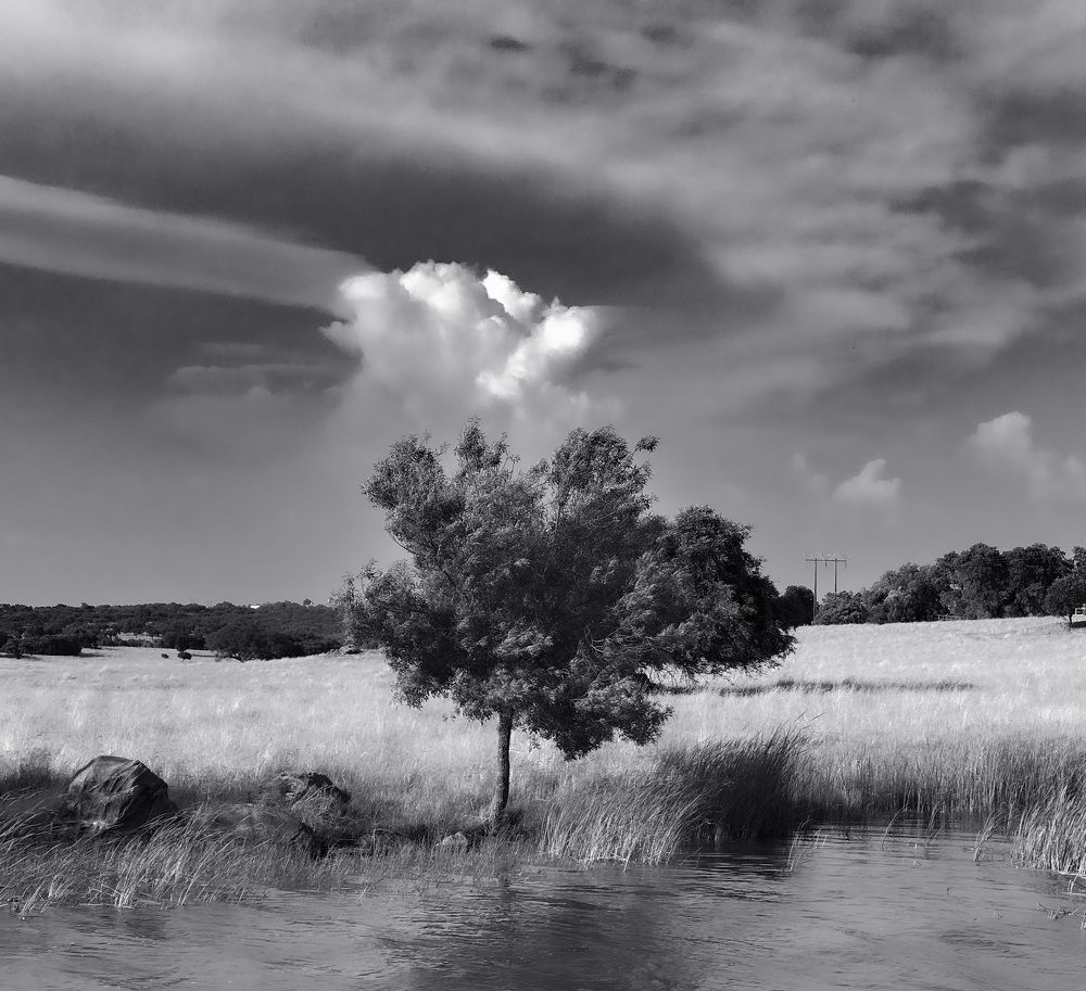 Photograph by Lucia Correia