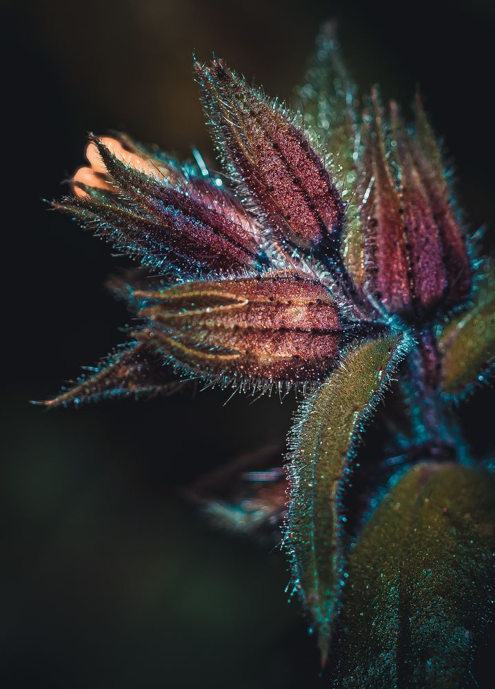 Photograph by fereydoon deliry