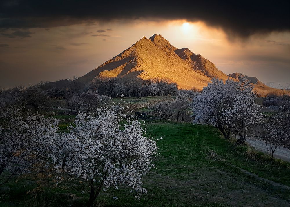 Photograph by masoud haghani