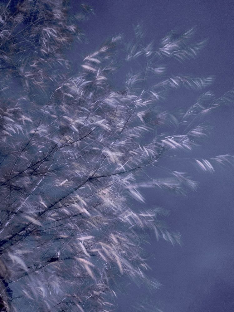 Photograph by Марина Танаева