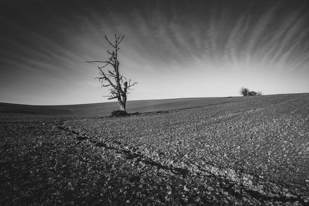 Фотография автора Tomas Kozel