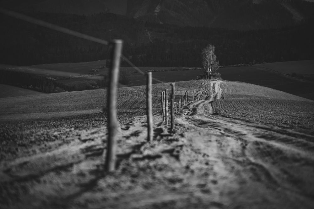 Фотография автора Tomas Kozel