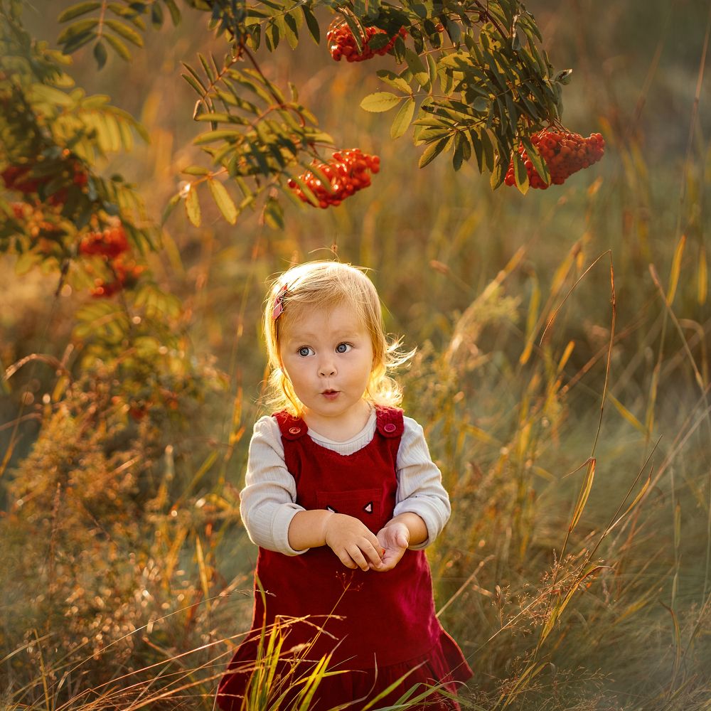 Photograph by Никитенко Ирина