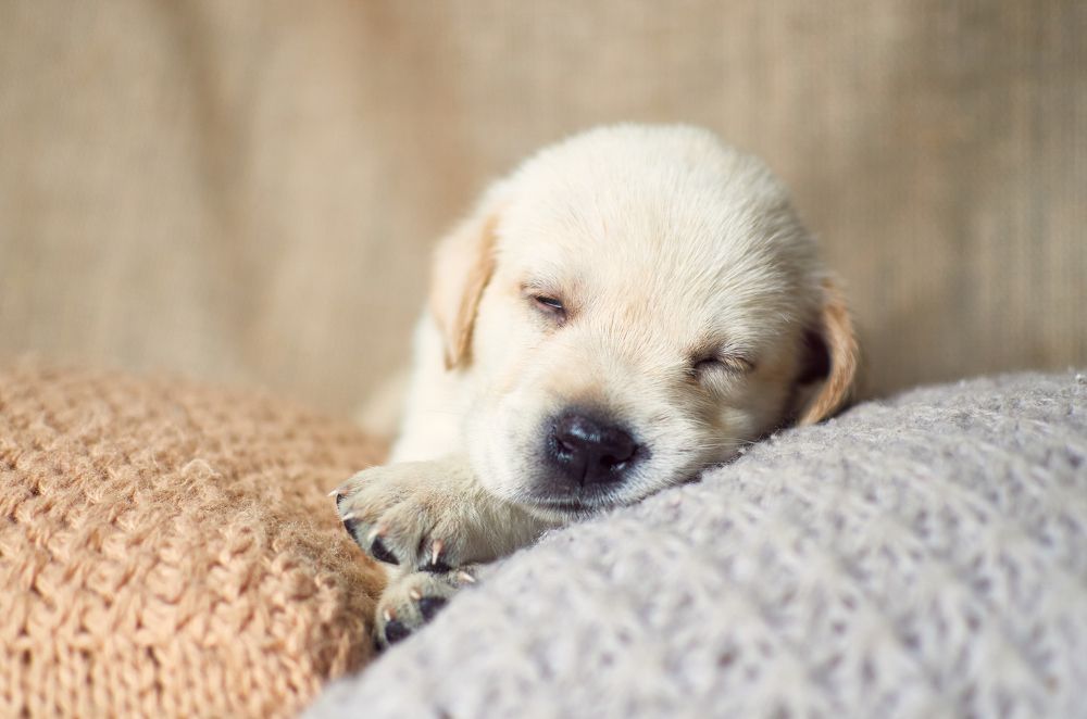 Photograph by Масленников Сергей