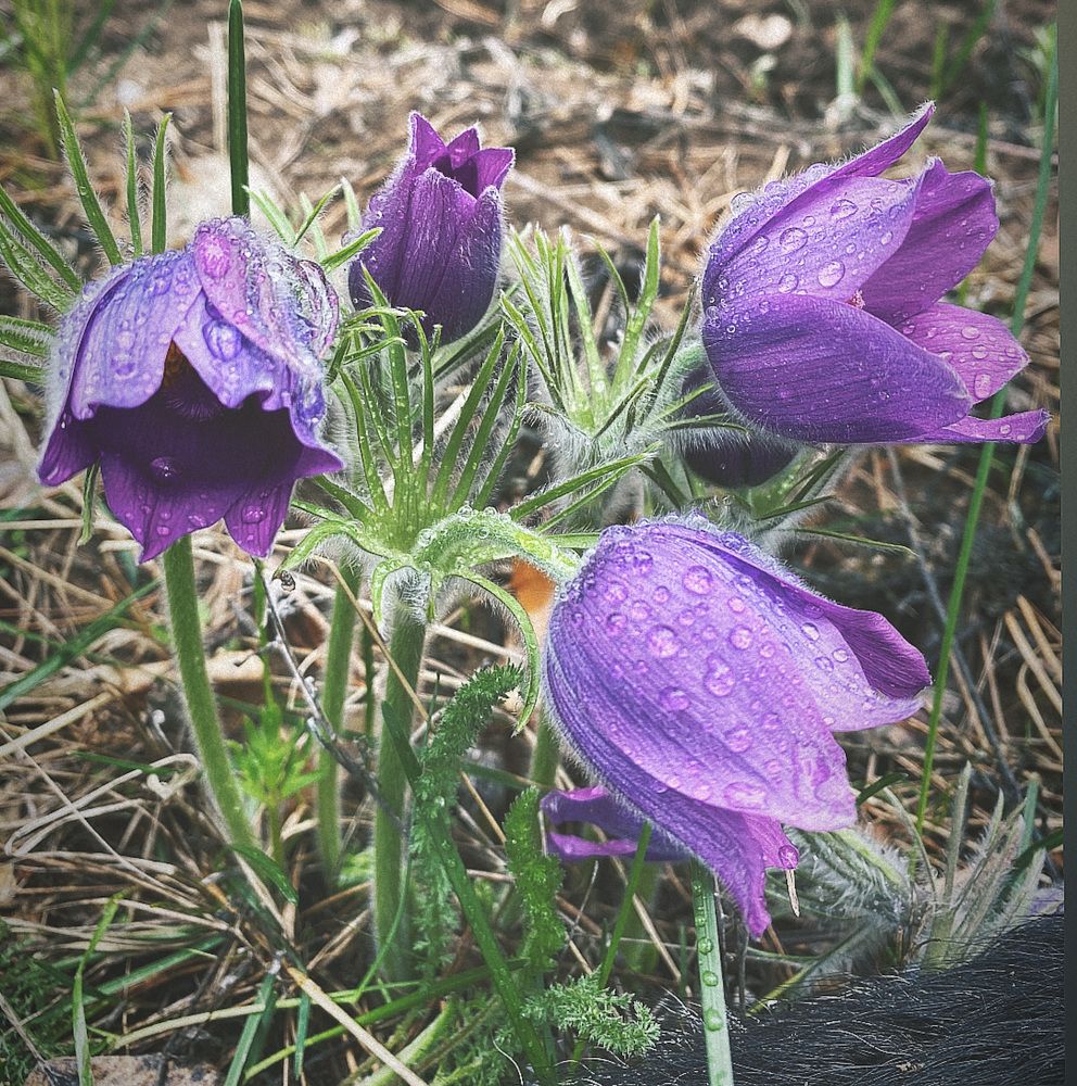 Photograph by Елена Виноградова