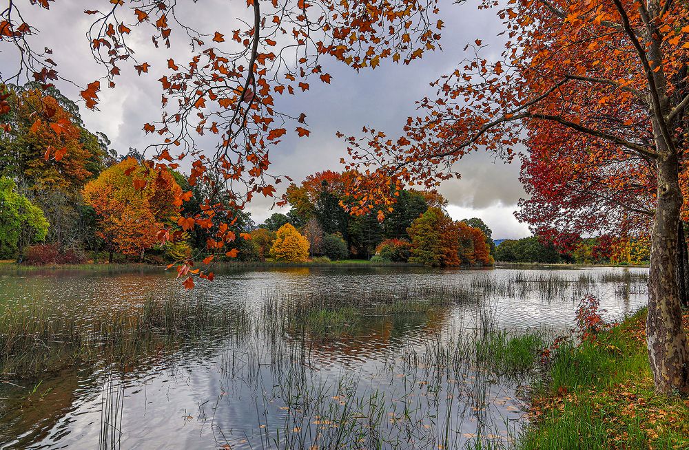 Photograph by Theo Landman