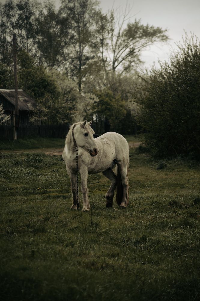 Photograph by Богдан Тарасов