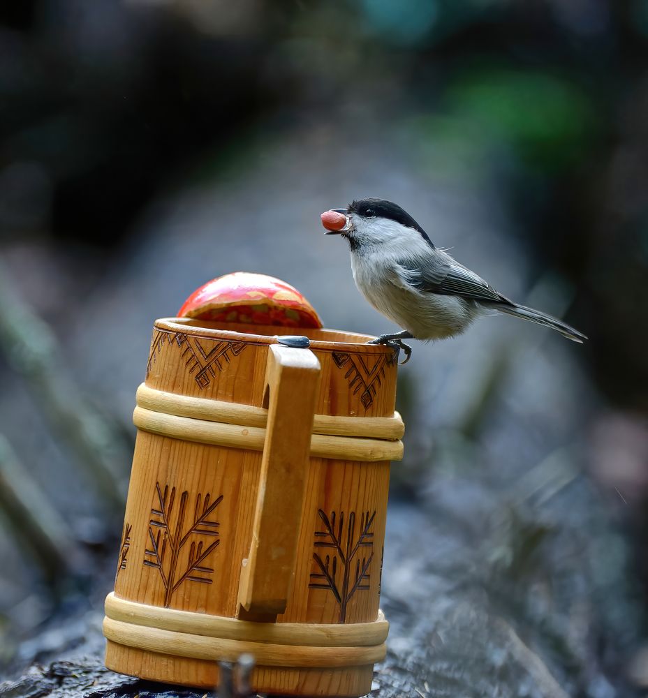 Photograph by Алексей Долженко