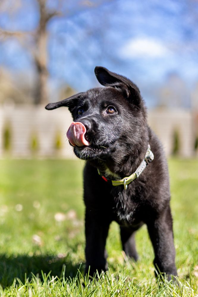 Photograph by Mariko