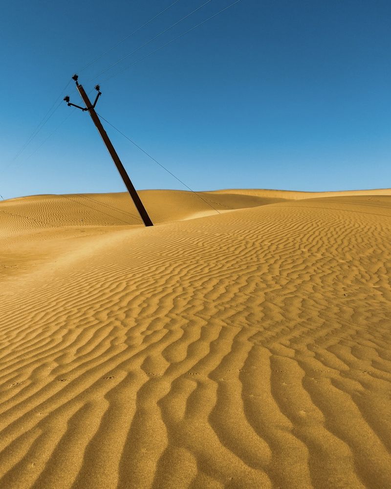 Photograph by Yogendra Singh