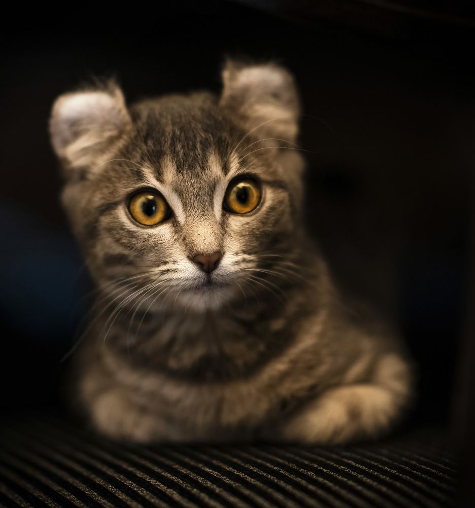 Photograph by Ирина Ефимова