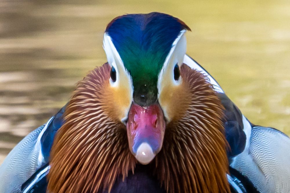 Photograph by Masood Aslami