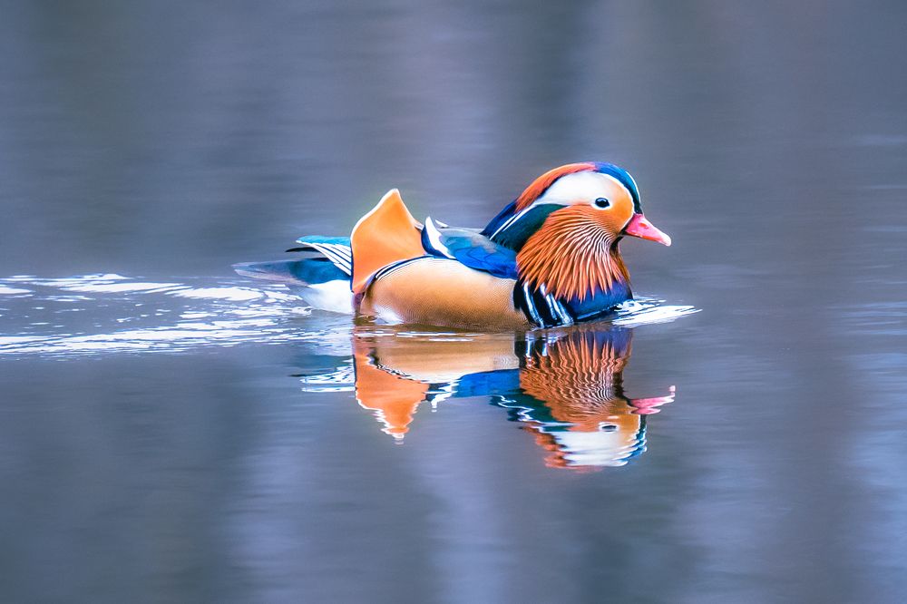 Photograph by Masood Aslami