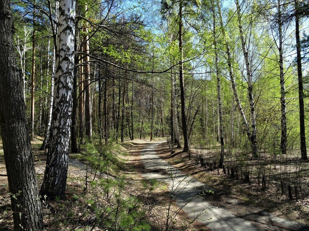 Photograph by Марина Раткун