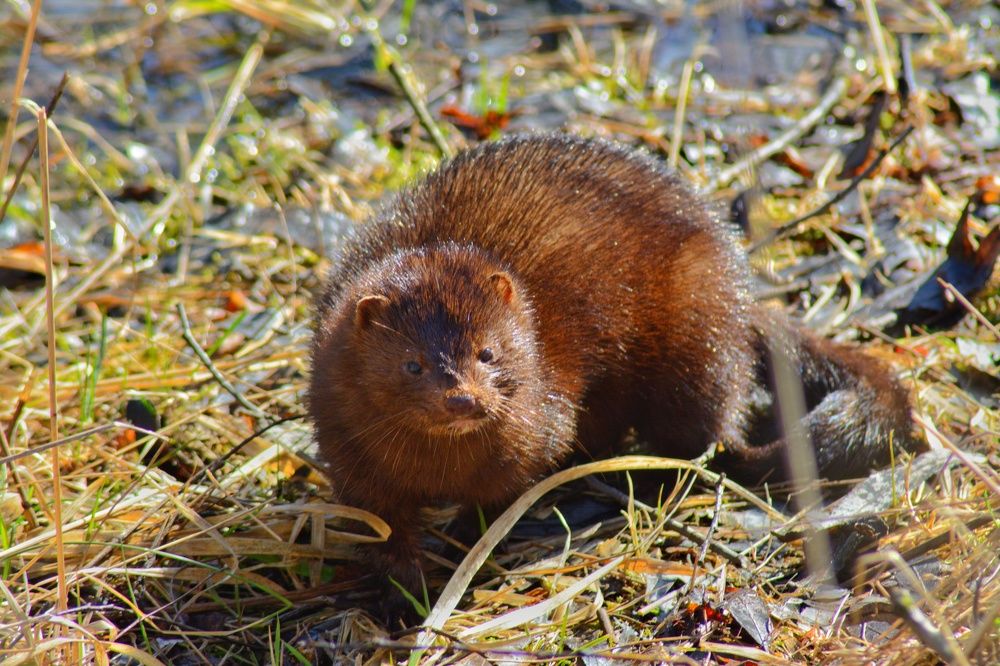 Photograph by Сергей Симаков