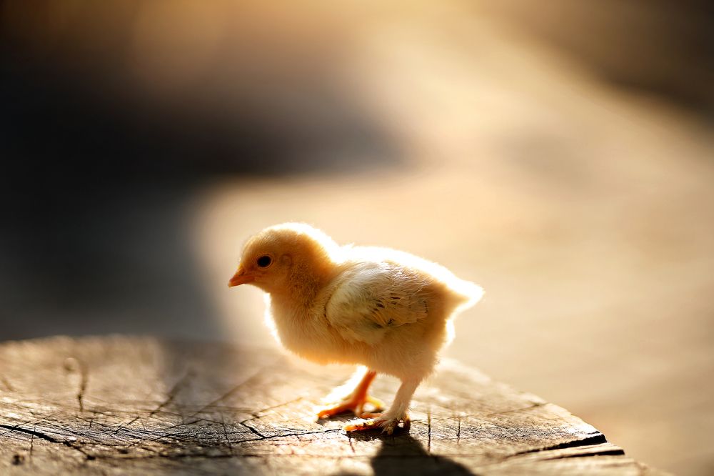 Photograph by Сергей Хрулев