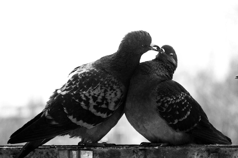 Photograph by Гульшат Хаертдинова