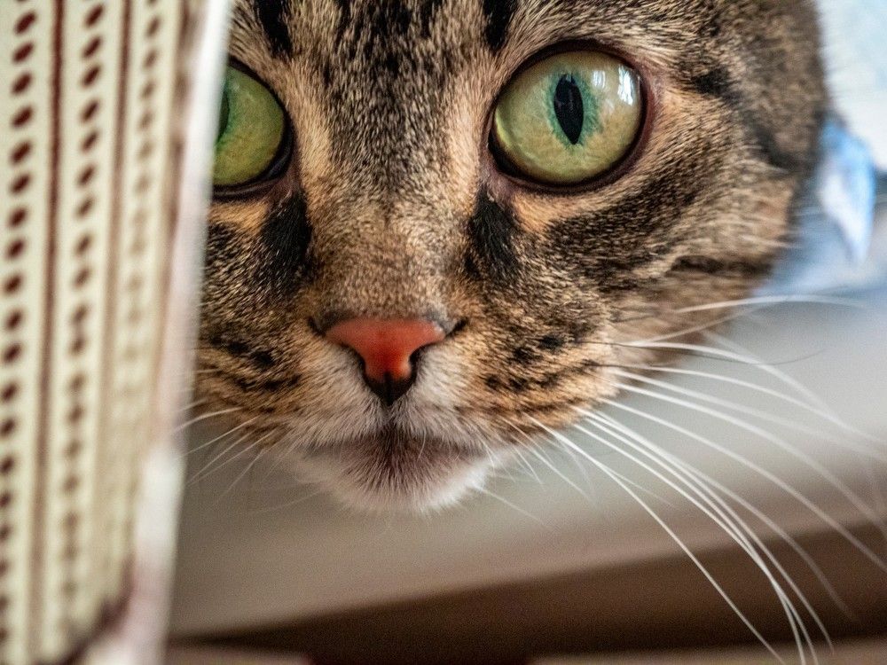 Photograph by Dmitri K