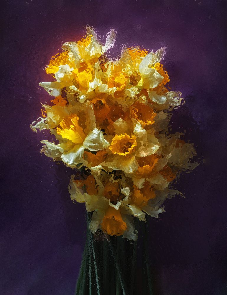 Photograph by Екатерина Запоздаева