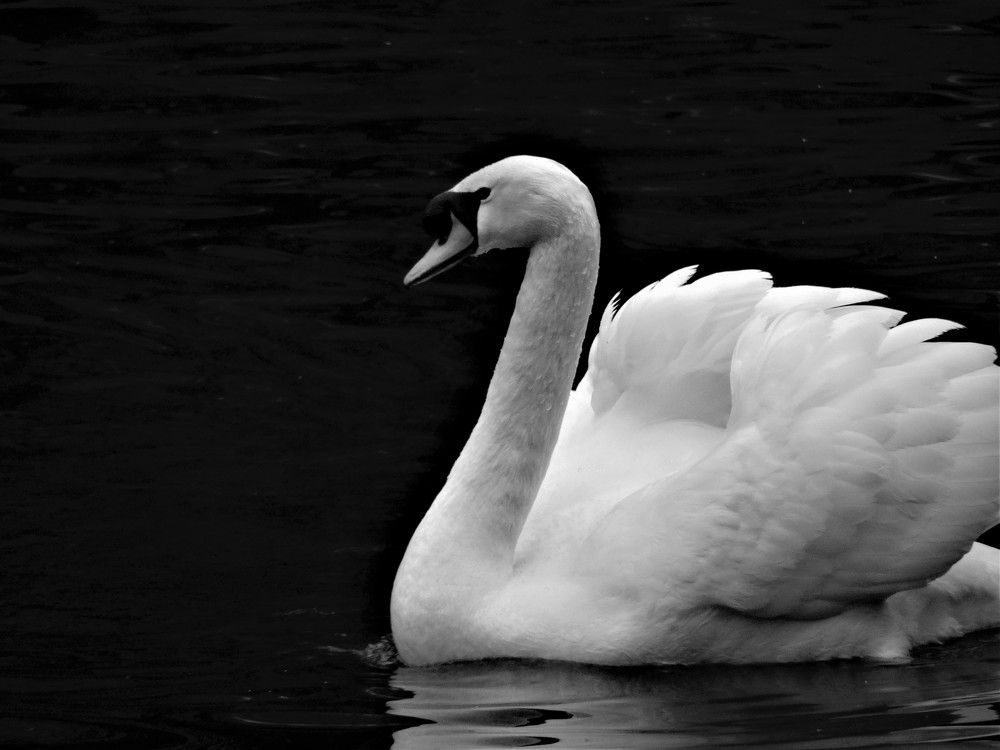 Photograph by Марина Раткун