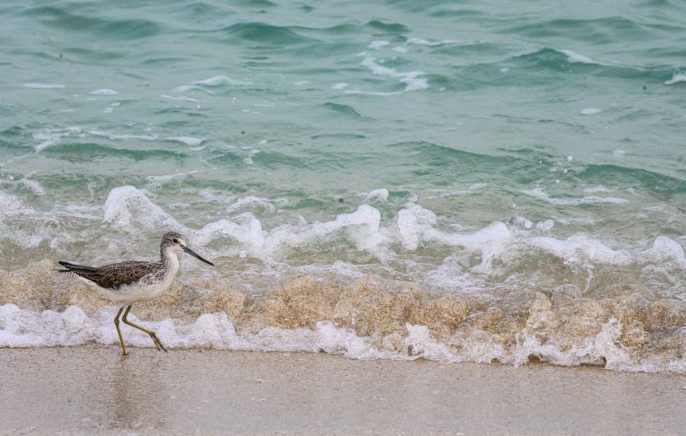 Photograph by Nuwair ALHajeri