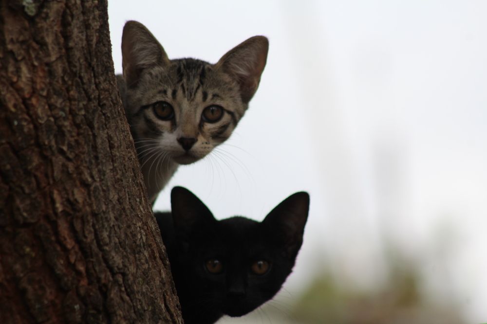 Photograph by Mackton Kipsang