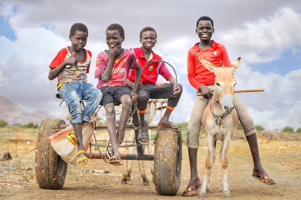 Photograph by احمد الشناوي