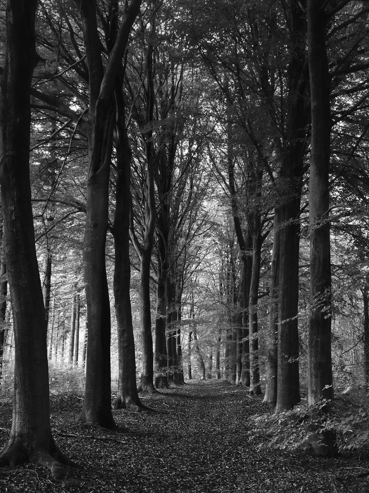 Photograph by Юлия З