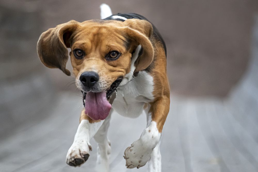 Photograph by Юлия Куликова